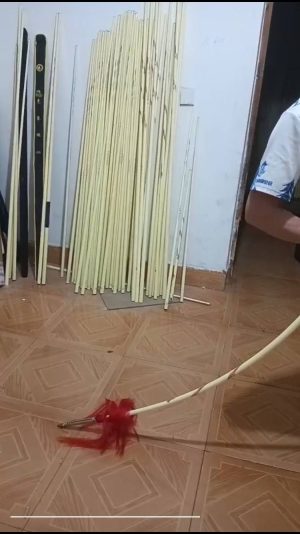 نیزه چیانگ شو حرفه ای