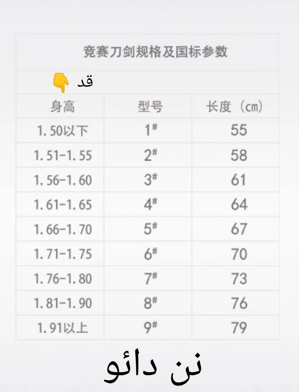 شمشیر نن دائو معمولی ( آموزشی ) - تصویر 2